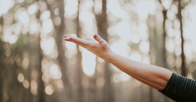 Deep Tissue Massage: Relieve Pain and Improve Mobility at SportMed Max